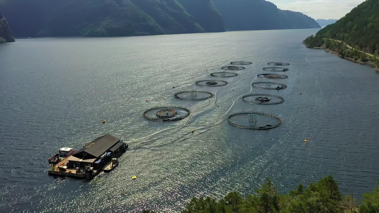 노르웨이에서 연어  ⁇ 시를 하는 공중 촬영