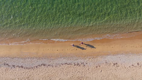 Aerial view of a beach with people walking along the shore