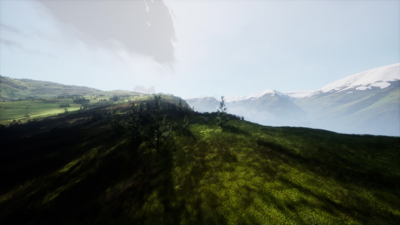 나무 가 있는 잔디  의 공중 풍경