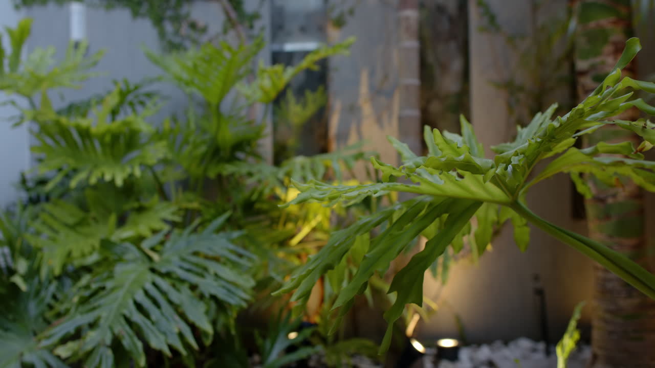 Green tropical plants creating serene atmosphere in home spa setting