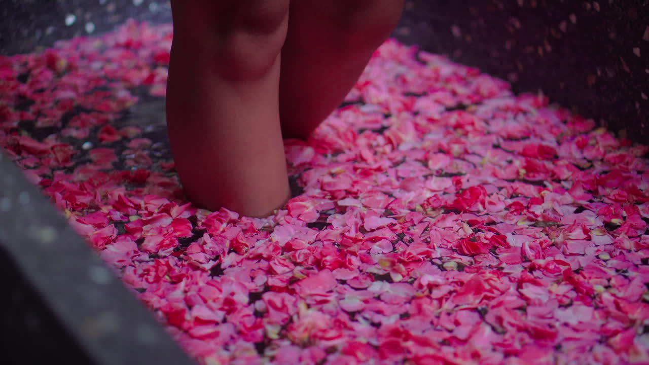 Woman's Feet in a Rose Petal Spa Bath