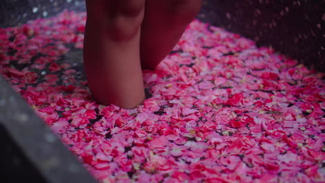 woman's feet in a rose petal spa bath
