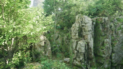 a lush green forest with a rocky cliff face