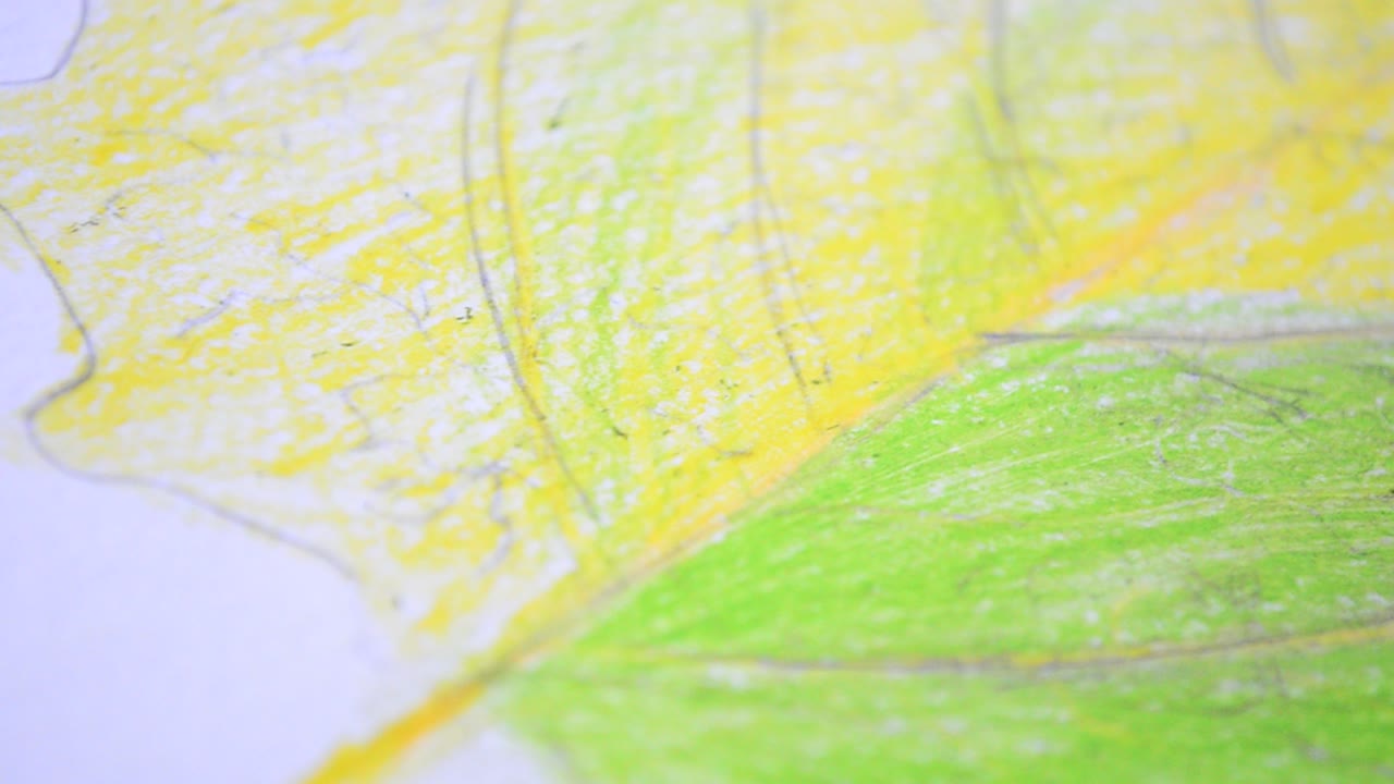 Hojas amarillas. Hojas de otoño