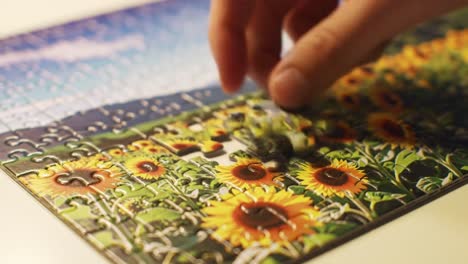 a hand carefully places the final pieces of a colorful sunflower puzzle during a tranquil evening, creating a sense of accomplishment and relaxation in a comfortable environment.