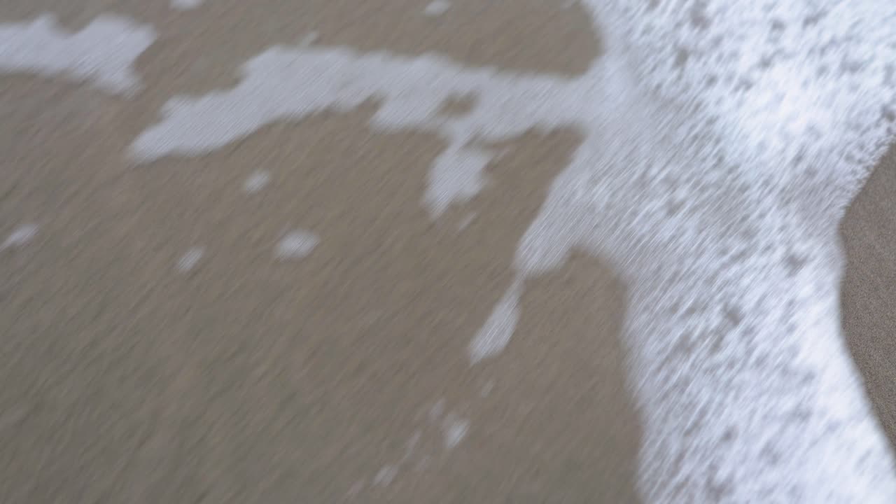 The water with the foam of the sea on the beach moves a dry tree leaf, when it seems that it remains on the site another wave arrives and makes it disappear