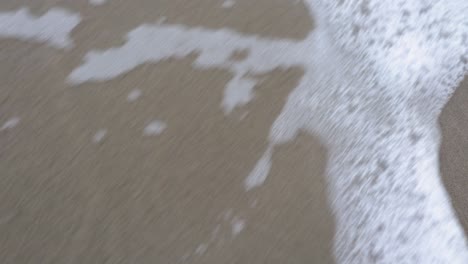 the water with the foam of the sea on the beach moves a dry tree leaf, when it seems that it remains on the site another wave arrives and makes it disappear