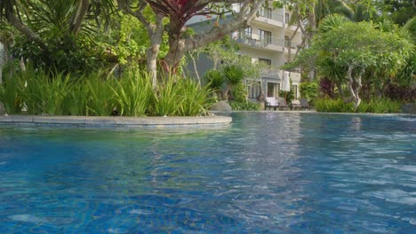 trees in pool in bintang flores hotel, labuan bajo, indonesia