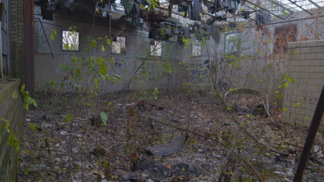 small trees growing inside the remains of a dilapidated industrial building