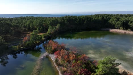 aerial view of lake jaagarahu, which is a former limestone quarry, in autumn colors in saaremaa, estonia.