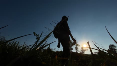 silhouetted backpacker man walking through vegetation, bright sunny day