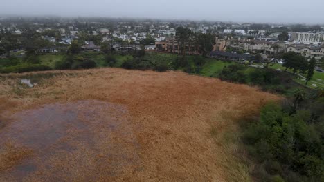 Carlsbad-Lagoon-fire-aftermath,-aerial-view