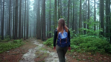 rear shot of girl with backpack hiking on rural wooden path in wild forest