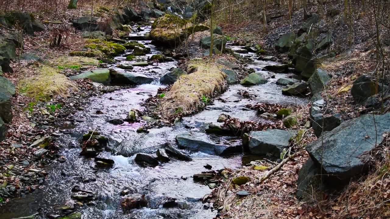 Peaceful stream flowing through rocks and other vegetation in the woods