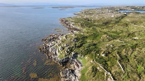 stunning coral reef under the shallow clear blue water at the north atlantic ocean in connemara, ireland with lush rocky coast on a sunny day - aerial