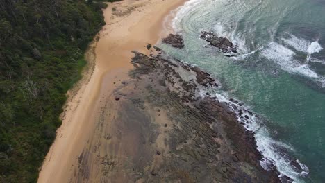 dense rainforest of wyrrabalong national park at the shoreline of bateau bay beach in nsw, australia