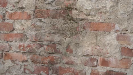 el globo de agua de goma púrpura no estalla cuando se lanza contra una pared de ladrillo