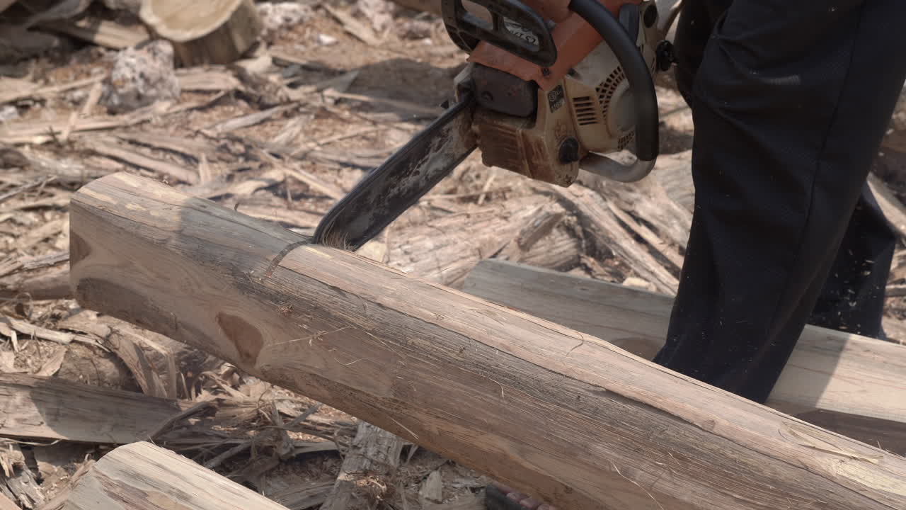 Old man use Motor Saw cut The tree.Working lumberjack uses chainsaw to cut tree.