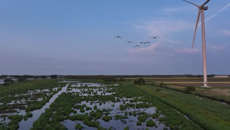 a wind turbine stands tall over wetlands with birds flying in the sky at dusk