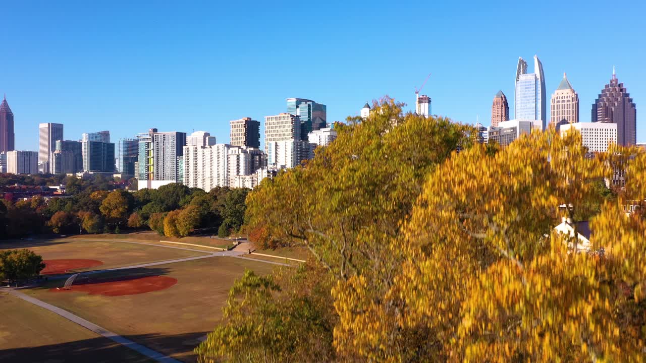 Peeking from behind a tree rising above Piedmont Park and downtown Atlanta Georgia
