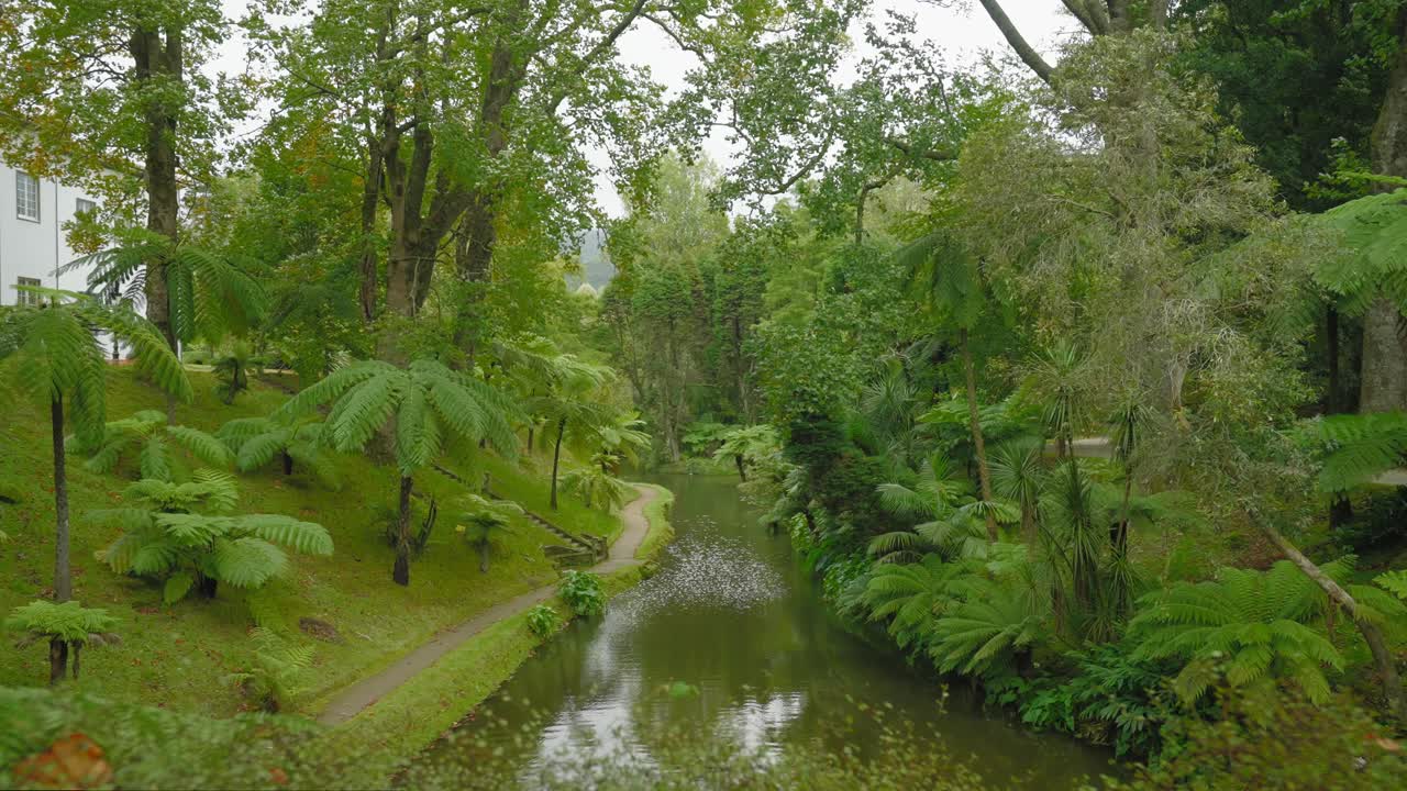 Fortryllende flod i Terra Nostra Park, São Miguel, Azorerne, der gradvist afsløres.