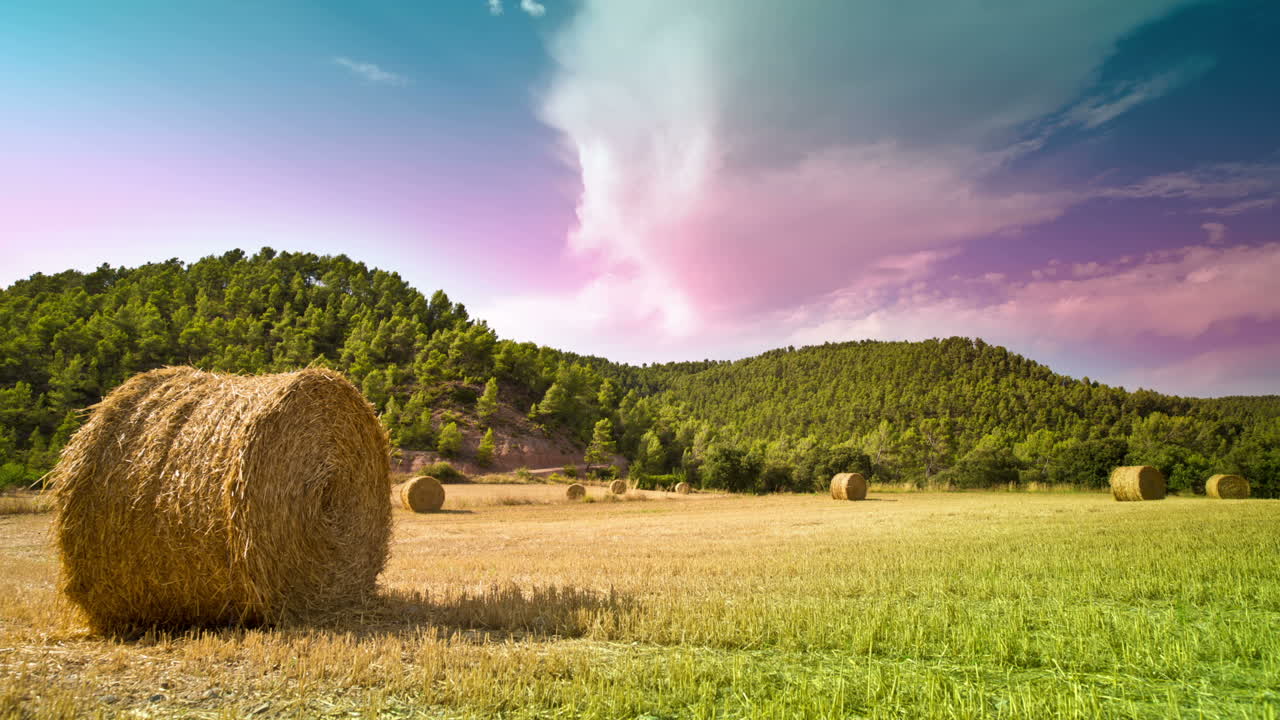 lapso de tiempo de campo de cosecha 02