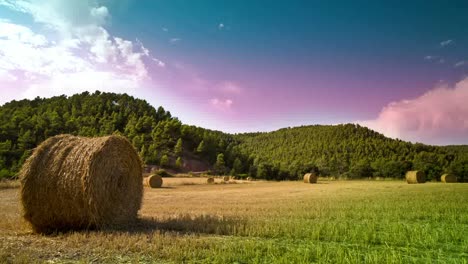 Harvest-Field-Timelapse-02