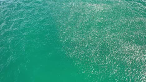 shimmering school of fish in cabarita beach, tweed shire, bogangar, northern rivers, new south wales, australia aerial shot