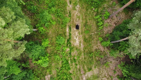 selva espeluznante con parca caminando y sosteniendo guadaña
