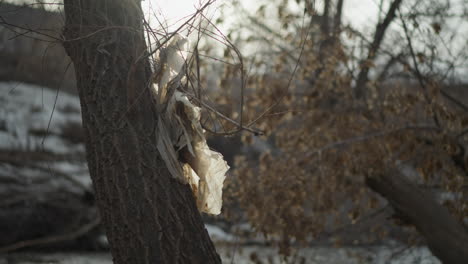plastic waste entangled in tree branches near riverbank during winter, with snow patches and dried foliage in background, highlighting environmental pollution and human impact on natural landscape in cold