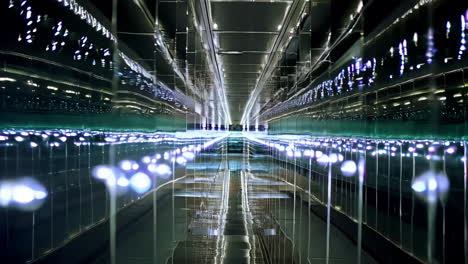 infinite reflective corridor with futuristic lights