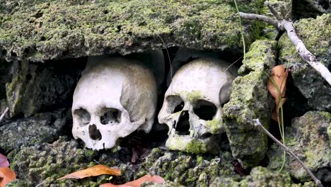 isla scull, munda, islas salomón - caza de cabezas - la práctica de preservar la cabeza decapitada de un enemigo después de que él o ella es asesinado - práctica ceremonial espeluznante pero fascinante