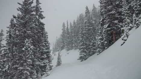 Backcountry-Skin-Berthoud-Pass-Colorado-Super-Zeitlupe-Schneefall-Schneebedeckter-Frühling-Winterwunderland-Schneesturm-Weiß-Tiefschnee-Pulverschnee-Auf-Kiefern-Nationalwald-Rocky-Mountains-Statische-Aufnahme