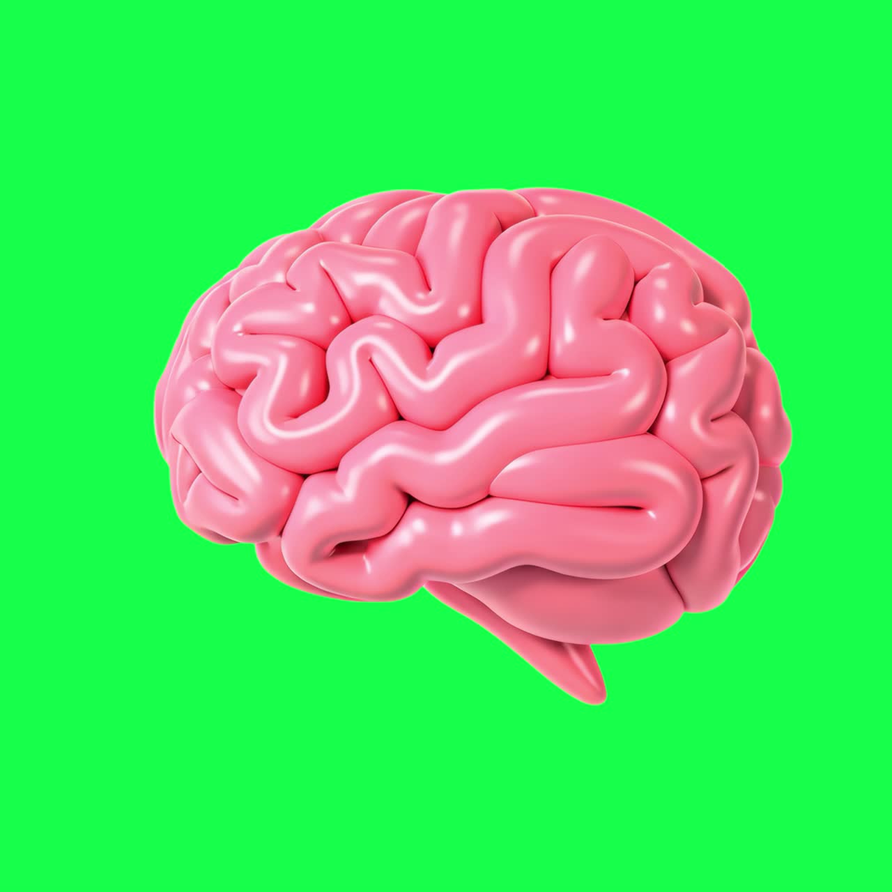 3d pink brain animation, transparent 4K video, green screen