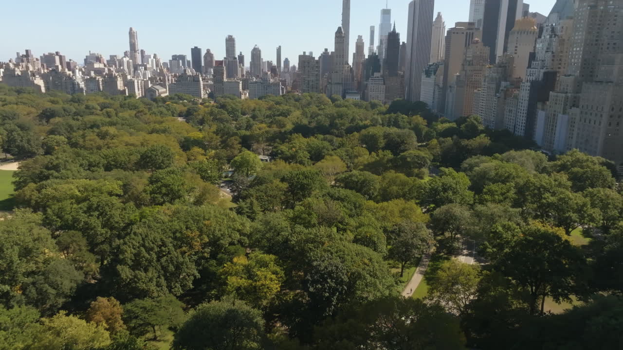 volando sobre un edificio, revelando el soleado parque central de nueva york - vista aérea