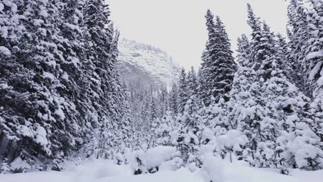 Wanderung-Im-Banff-Nationalpark,-4k