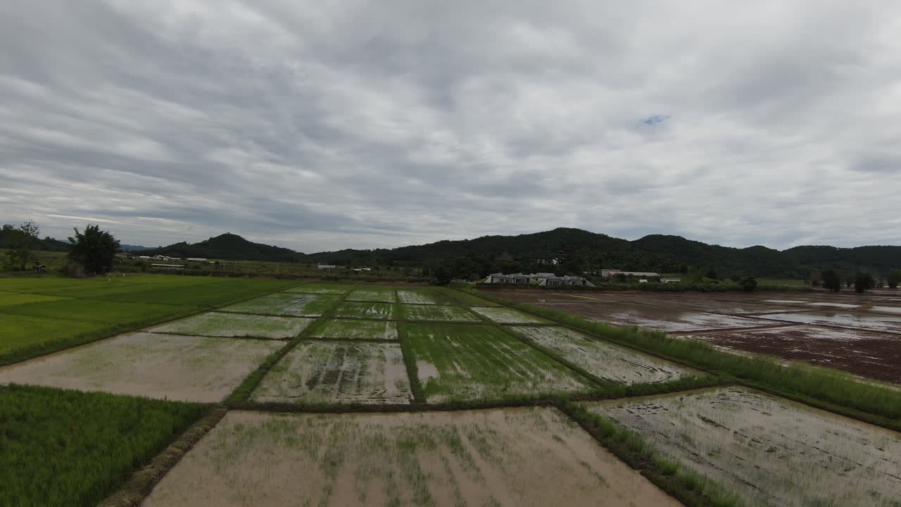 태국의 chaing rai 시골의 초록색  ⁇  ⁇   ⁇ 을 날아다니는 빠른 fpv