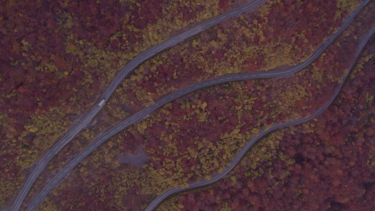 가을 시즌 나무 색상이 있는 산길 도로, 하향식