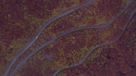 carretera de paso de montaña con colores de árboles de temporada de otoño, de arriba hacia abajo