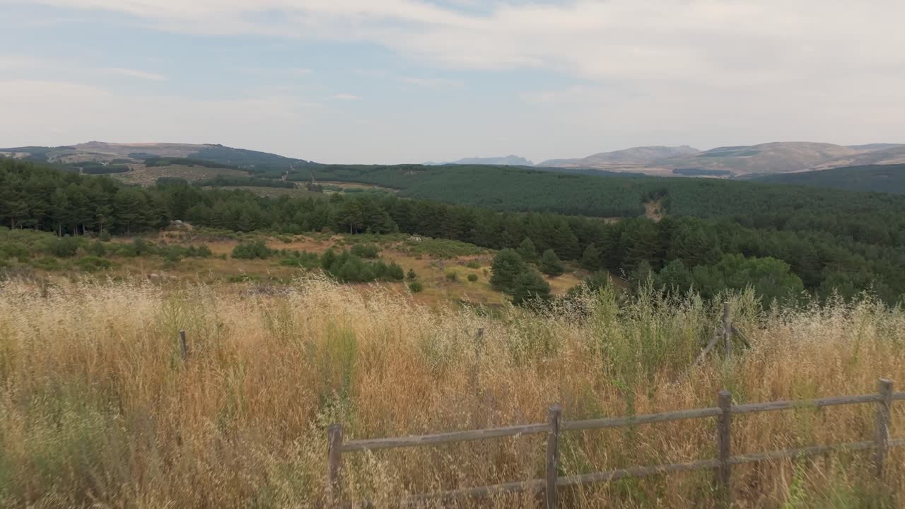 flight on a large elevated platform of land and upon passing it we see with a turn an immense forest of wild pines and in the background mountains belonging to the Sierra de Gredos