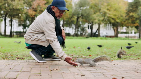 relax, squirrel and feeding with old man in parks