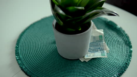 the man counts polish banknotes and puts them under a pot on a green saucer