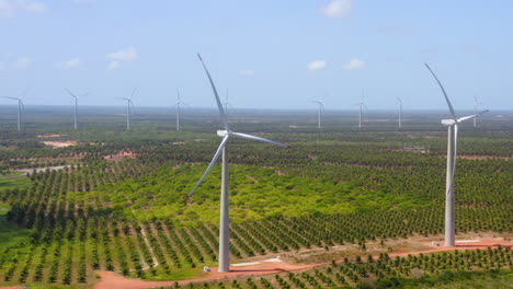 Aerial-view-of-wind-fan-in-the-middle-of-a-green-area-of-palm-trees,-Ceara,-Brazil