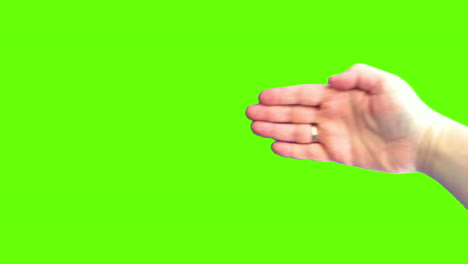 human hand with ring on green screen