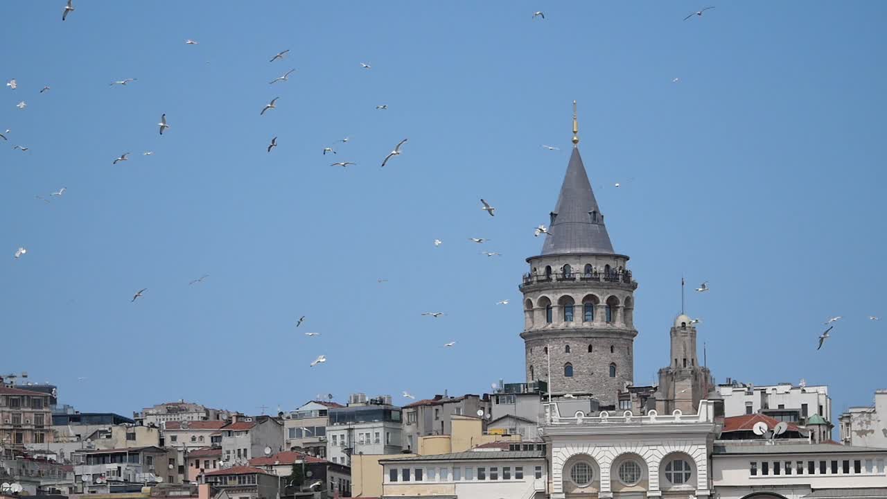 Seagulls Flying Around Galata Tower in Istanbul