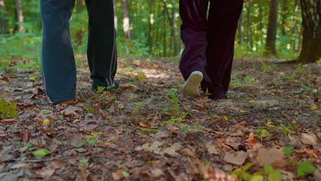 Ancianos,-Abuelos,-Turistas,-Haciendo-Senderismo-Con-Mochilas-En-El-Bosque-De-Verano