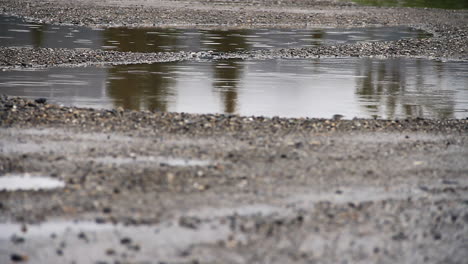 雨落在水池上 落在砾石路上