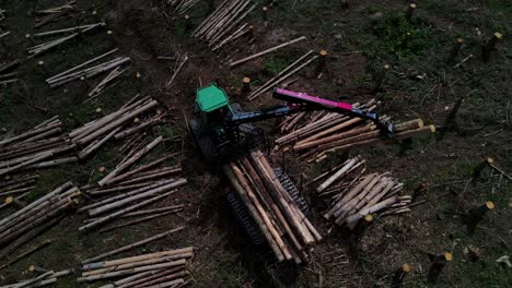 modern industrial forestry harvester moving along stock of logs in forest