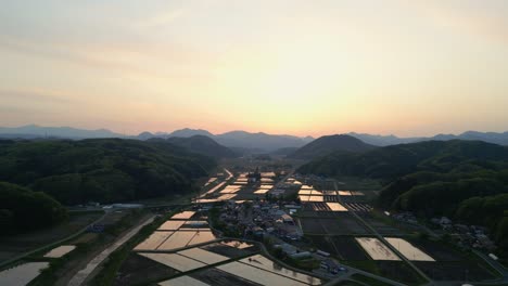 antena cinematográfica: campos de arroz con plantas agrícolas regadas en el japón rural