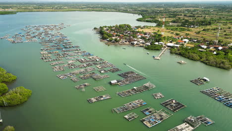 lobster industrial farms floating on lake in lombok, indonesia